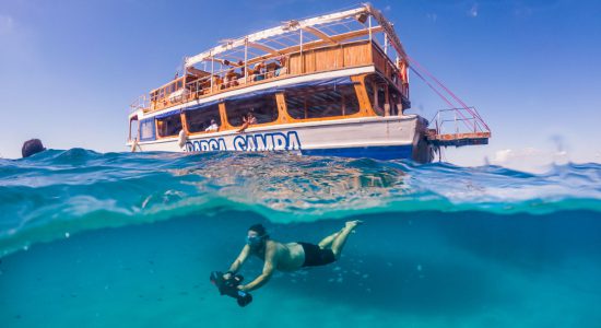 barca_samba_eventos_dia_13